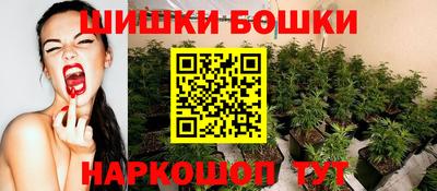 наркотики Кингисепп