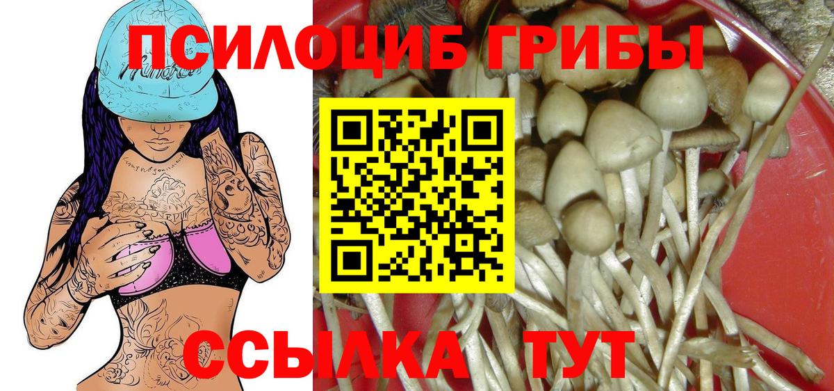 Галлюциногенные грибы мицелий  Вход с VPN  Кировск 